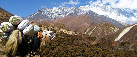 Everest Base Camp Nepal Trek with International Mountain Guides